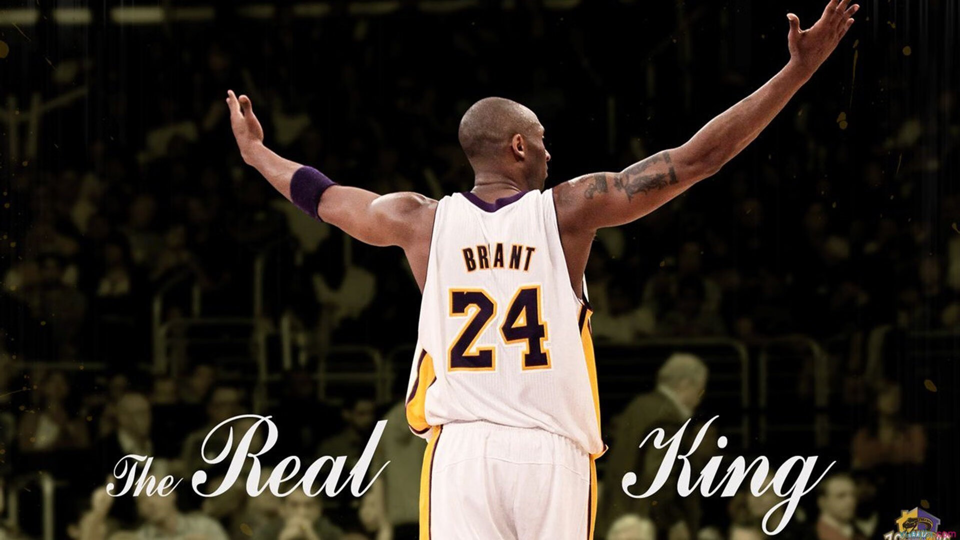 《云电竞崛起，推动赛事在线化、数字化发展》，云电竞官网